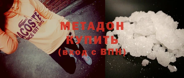 индика Каменногорск