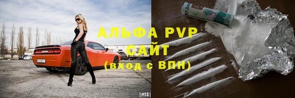 хмурый Каменка