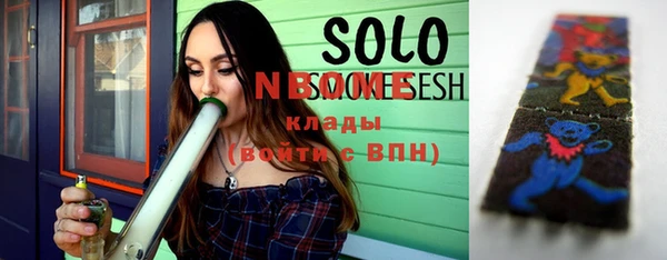индика Каменногорск