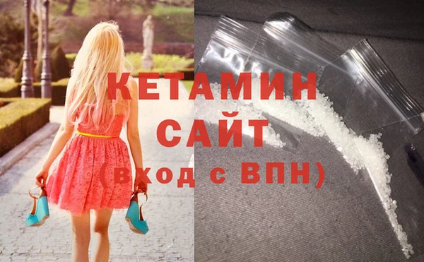 индика Каменногорск
