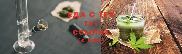 индика Каменногорск