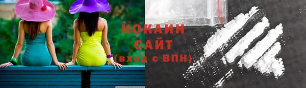 индика Каменногорск