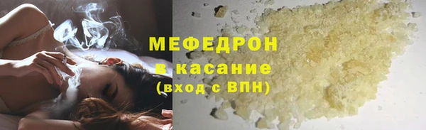 индика Каменногорск