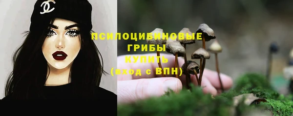 хмурый Каменка