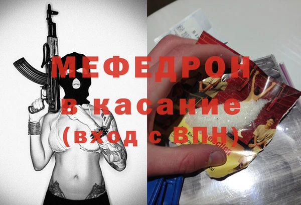индика Каменногорск