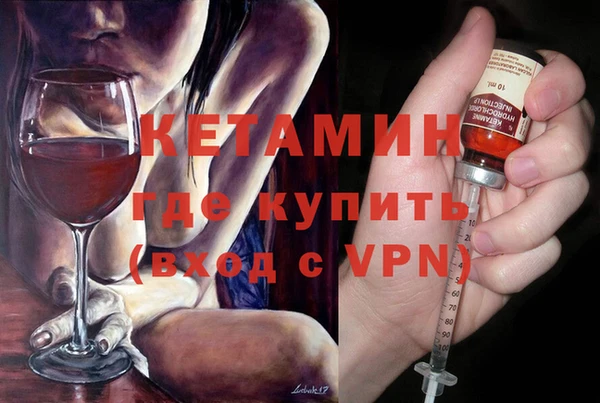 индика Каменногорск