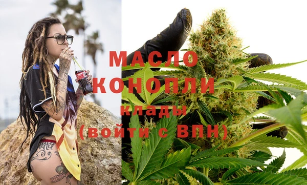 хмурый Каменка