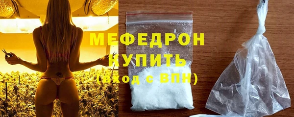 индика Каменногорск