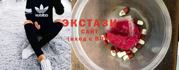 индика Каменногорск