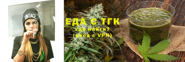 индика Каменногорск