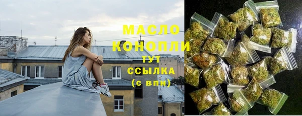 индика Каменногорск