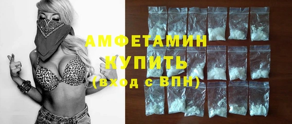 индика Каменногорск