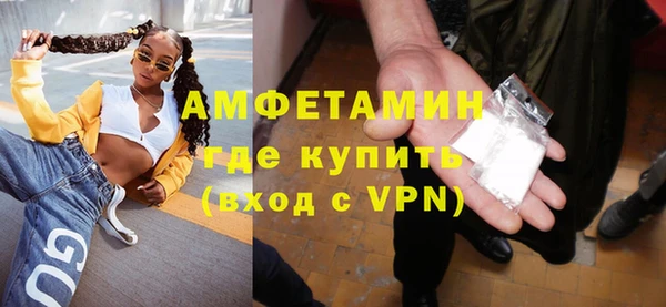 индика Каменногорск