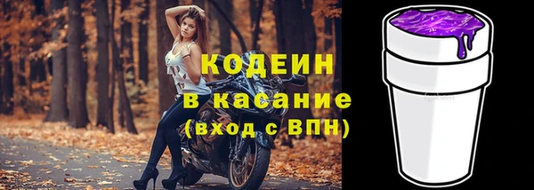 индика Каменногорск