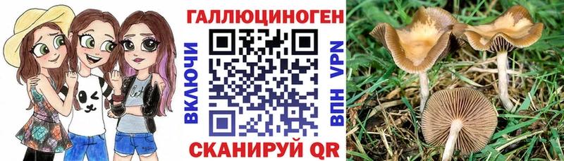 Купить  Сосенский  Галлюциногенные грибы мухоморы 